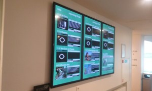 Amsterdam Eye Institute information film screenings (1)