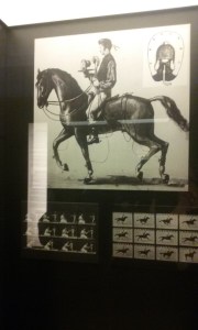 Brussels Cinematek Royale (27)