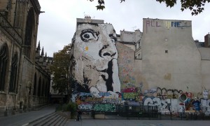 Paris art in the street Oct 2015 (4)