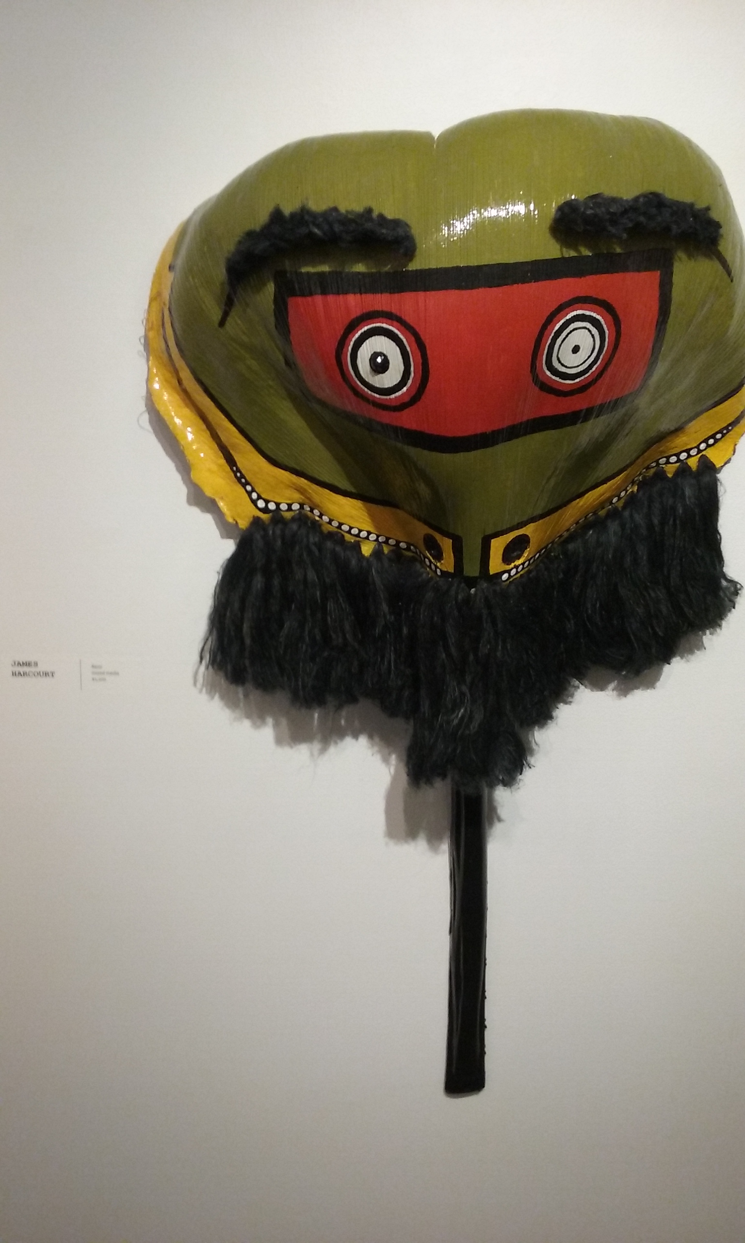 Pataka James Harcourt (29)